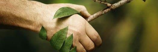 Lady_Pangea's profile banner image