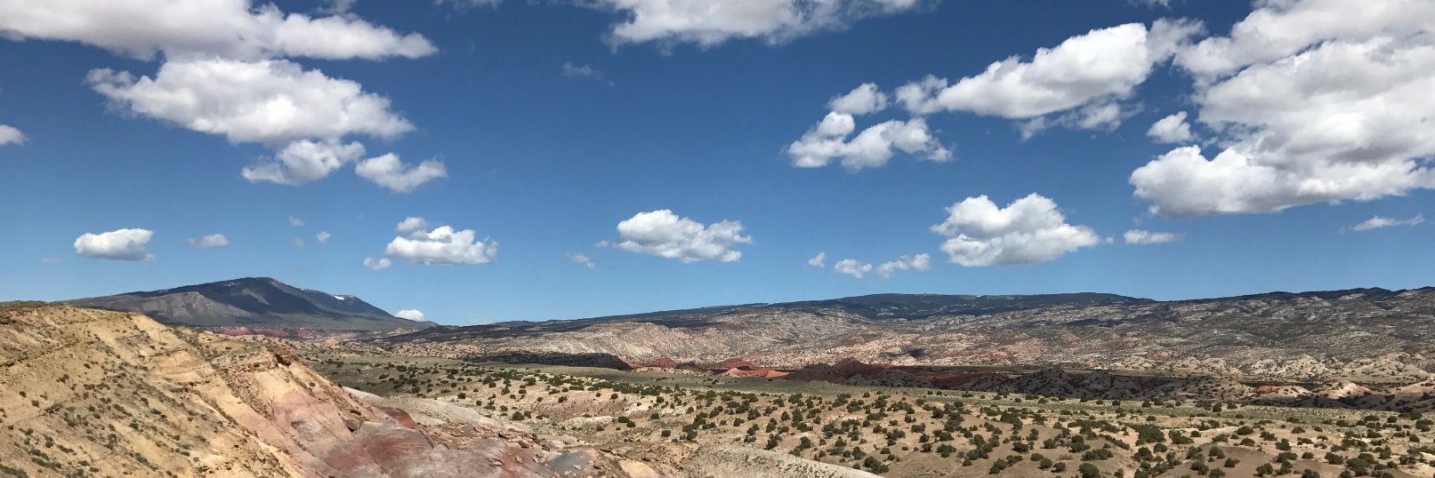 Beth Heidemann banner