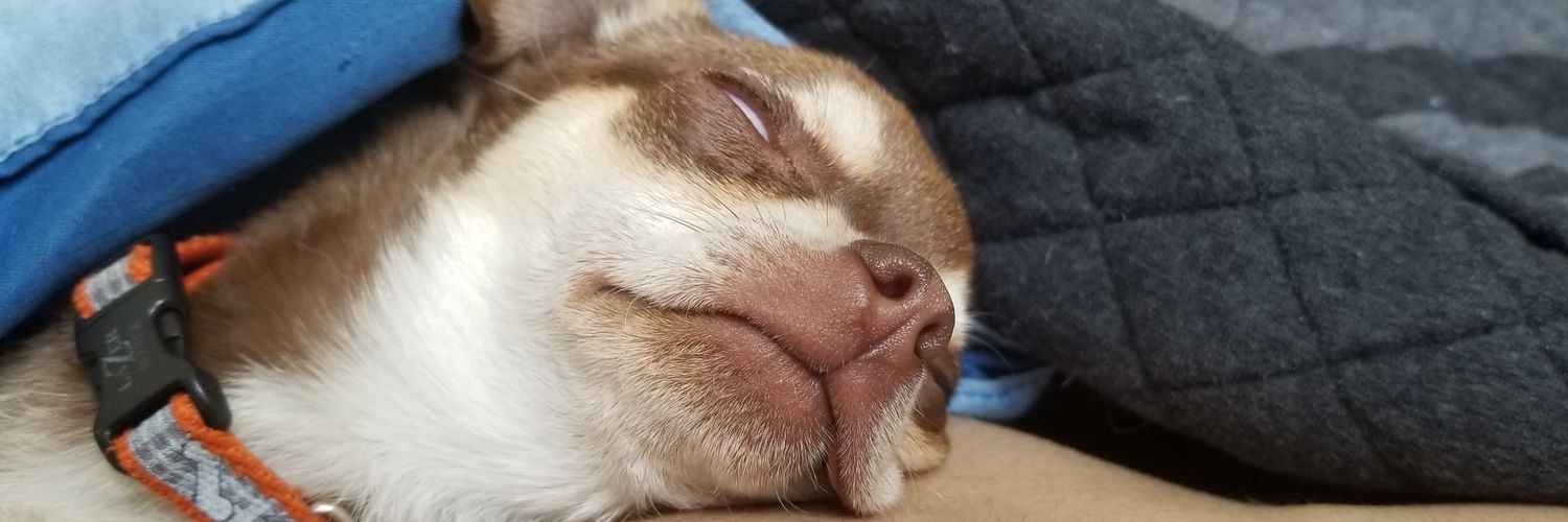 mostlikelydoug's profile banner image