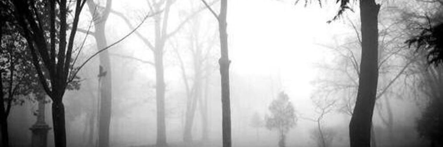 thatsoftgrunge's profile banner image