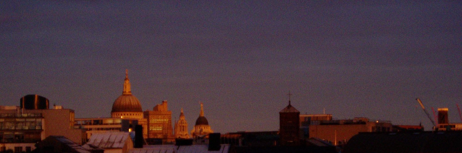 Saffron Burrows banner