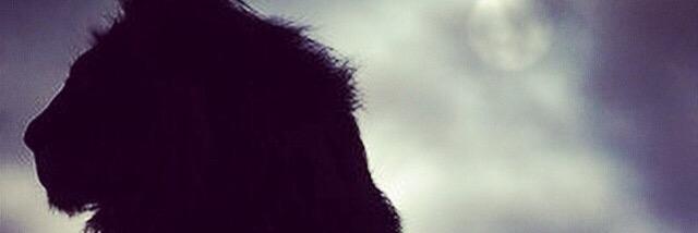 OhhTalia's profile banner image