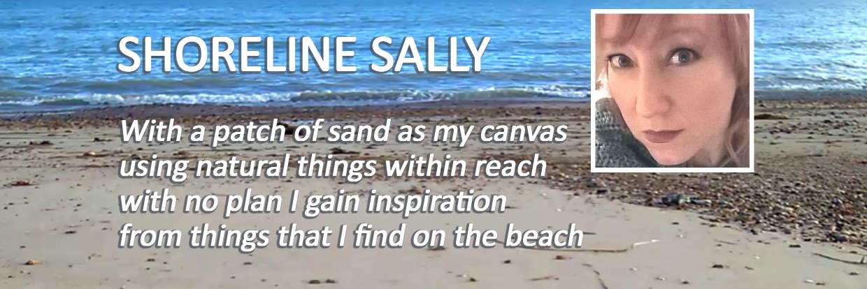 Sally Jane Hurst 💙 banner