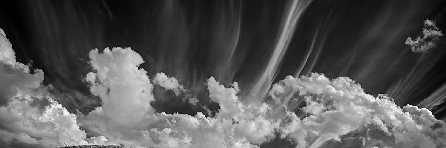 Gray__Dee's profile banner image