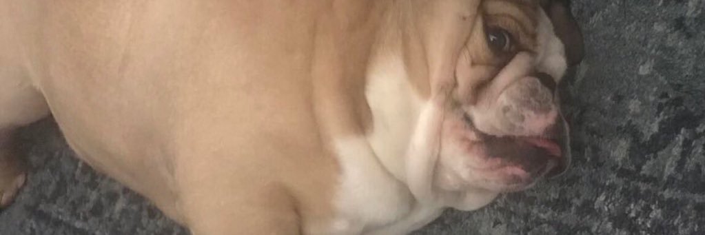 eugoogely's profile banner image
