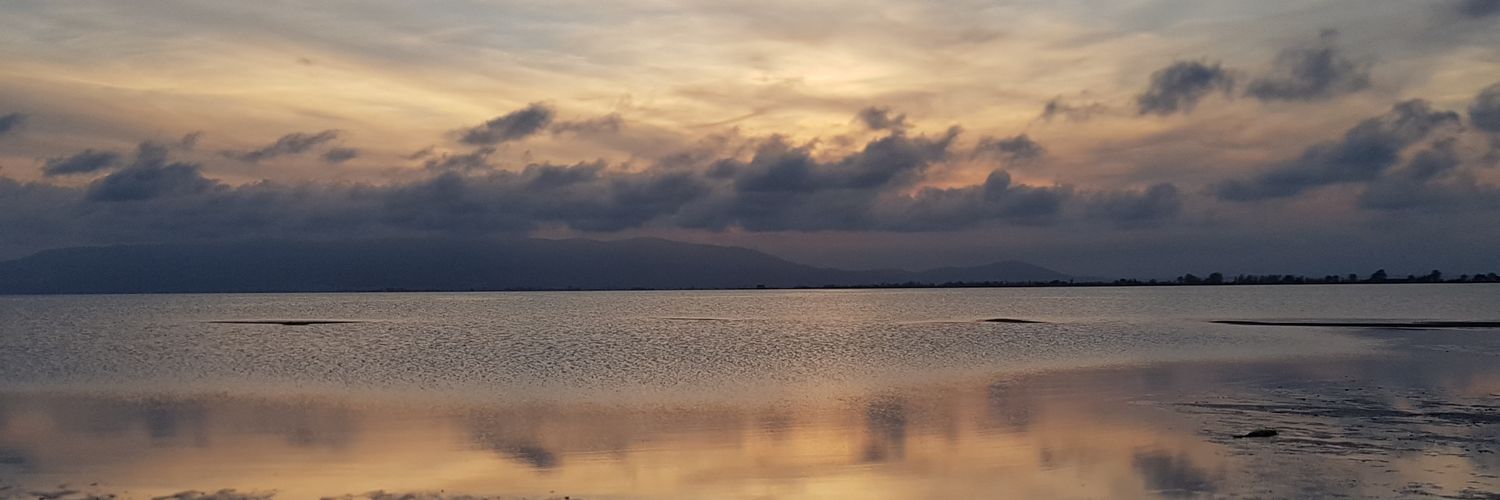 XuanSala's profile banner image