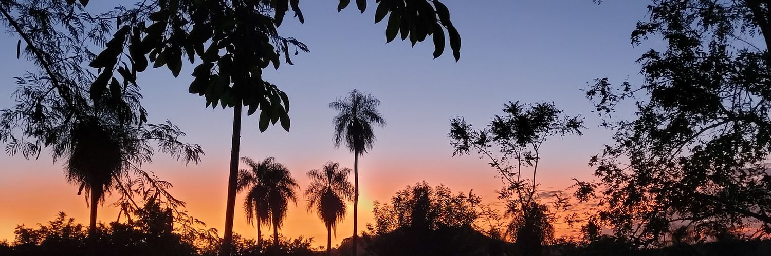 larialarcon's profile banner image
