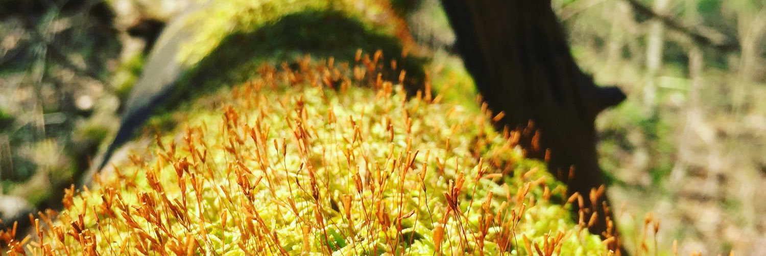 Greg Harrison banner