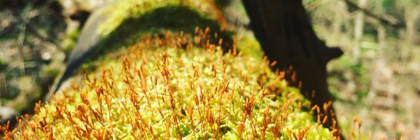 mostly_microbes Profile Banner