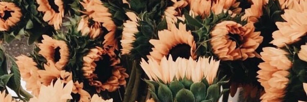caitderrickson's profile banner image