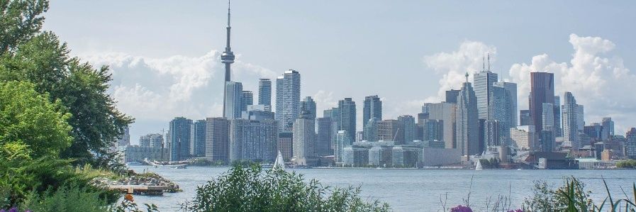 AdaLlans's profile banner image