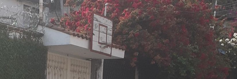 123Perrucio's profile banner image