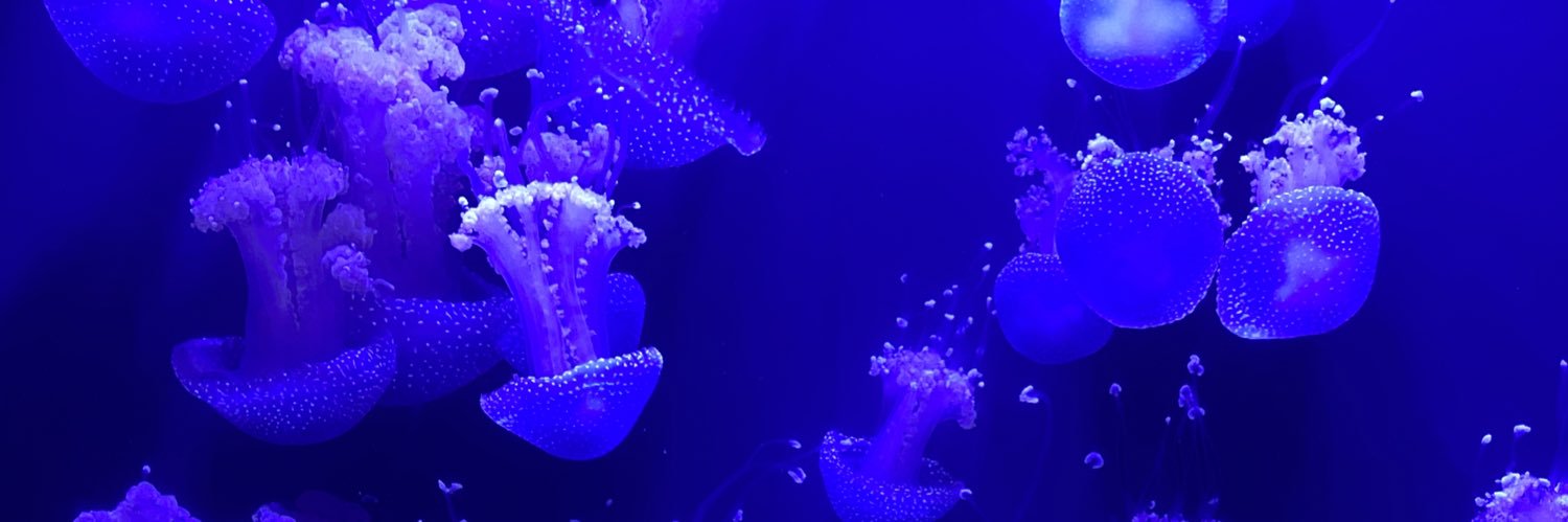 Alex_Olsacher's profile banner image