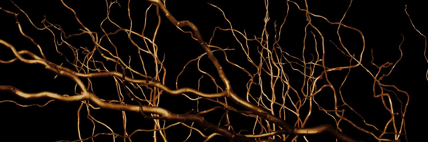 ReifingerRose's profile banner image
