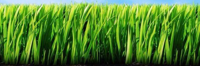 dollyarora77's profile banner image