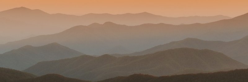 Janine Garner banner