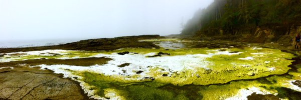 KatzD Profile Banner