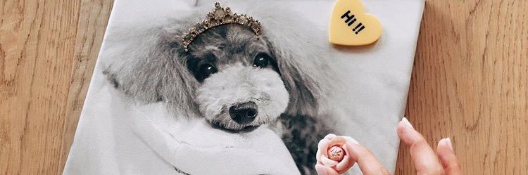 ____miiilk's profile banner image