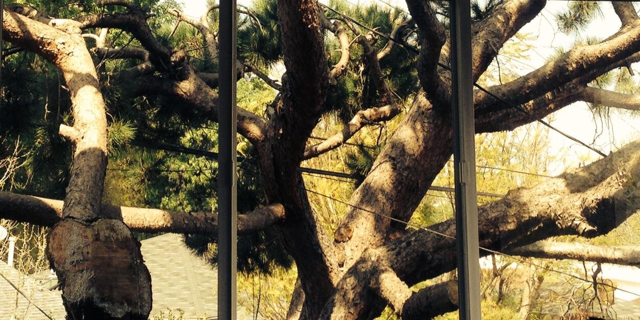 Treehouse Partners banner