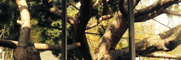 TreehouseHires Profile Banner