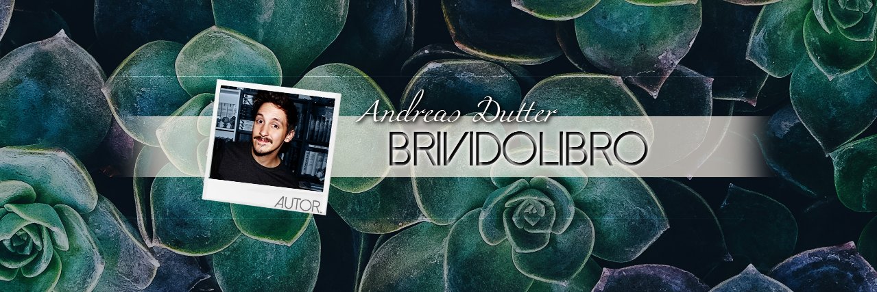 brividolibro's profile banner image
