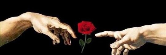 ccsboy2021's profile banner image