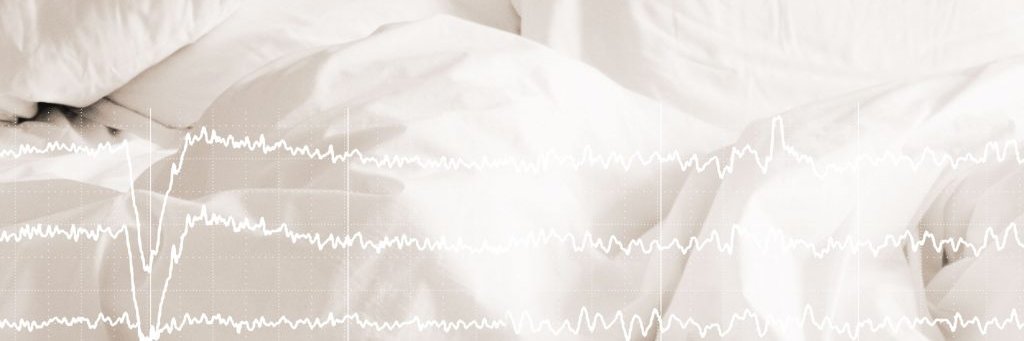 NSWO2012's profile banner image