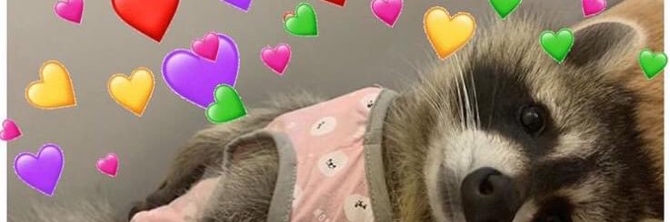 __end0fbrenda's profile banner image