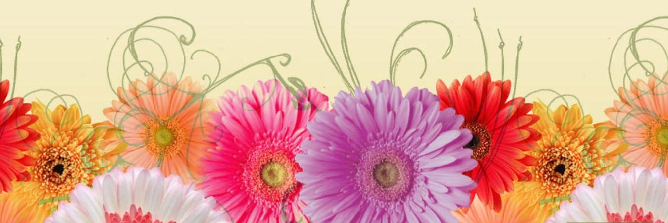 CowboyAshley's profile banner image