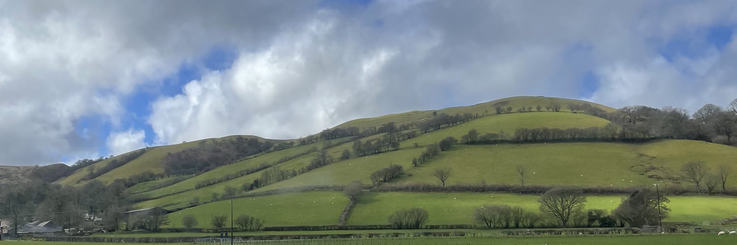 graceogorman's profile banner image