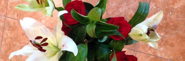 Antonia Caridi - Lifelong learner & teacher banner