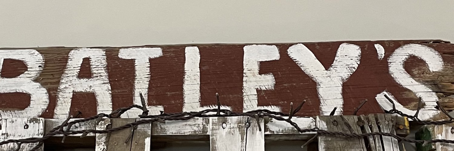 Bailey_Rules's profile banner image