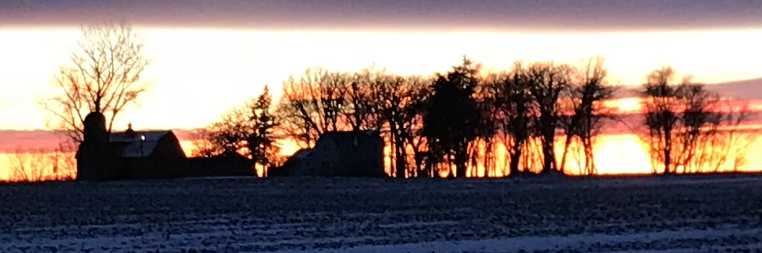 nortonbach's profile banner image