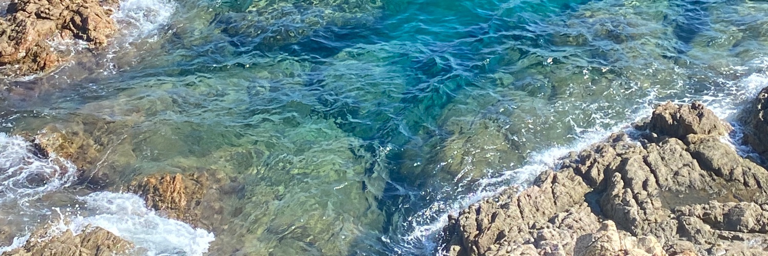 PellarinRo's profile banner image