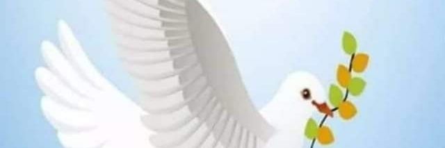 MahCalmon's profile banner image