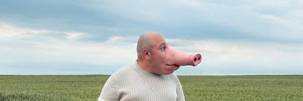 romanroan Profile Banner