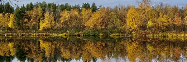jyrkikatainen Profile Banner