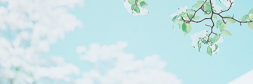 asuno_mint's profile banner image