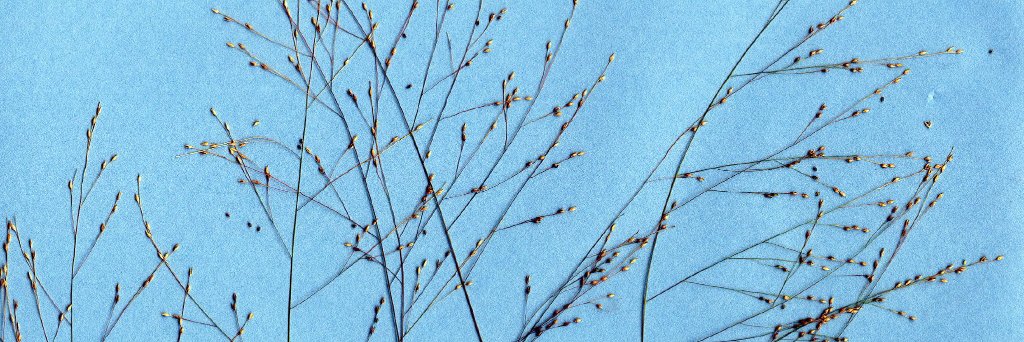 onske_d's profile banner image