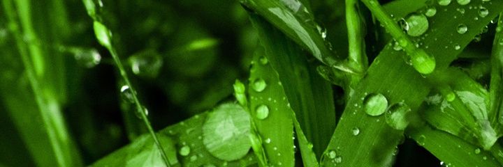 SANCASMAR's profile banner image