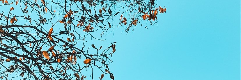 A_mandaG's profile banner image