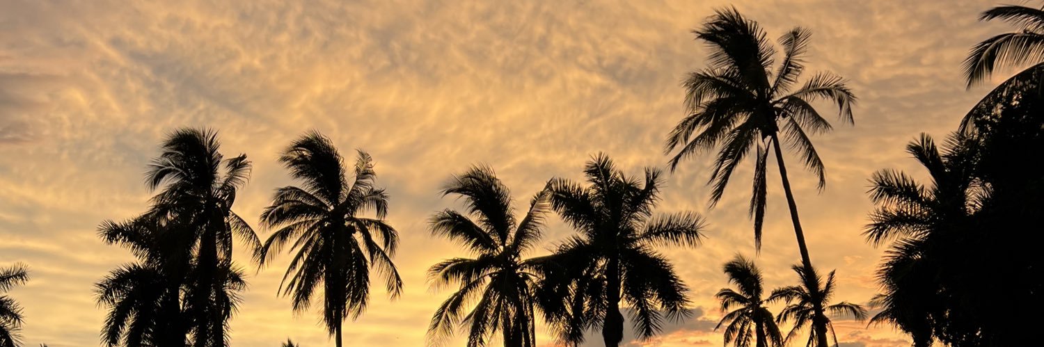 NetoRojo_'s profile banner image