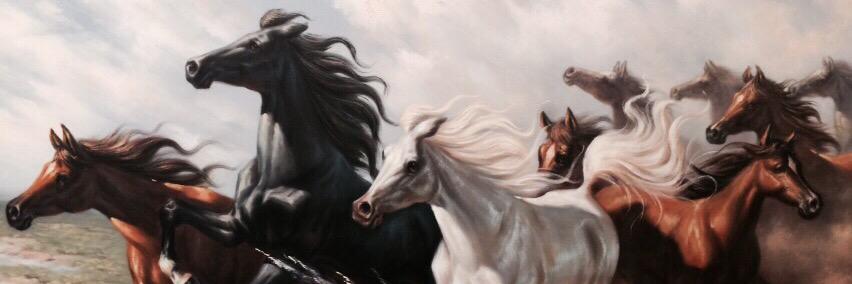 ozdemirhak's profile banner image