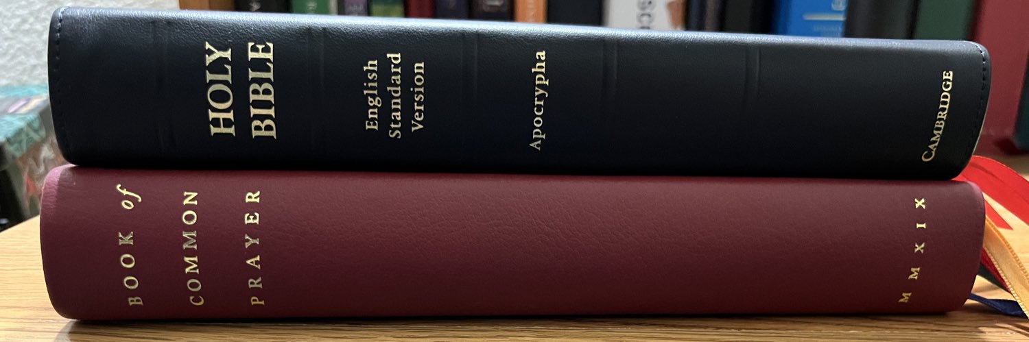 Ryan Davidson banner