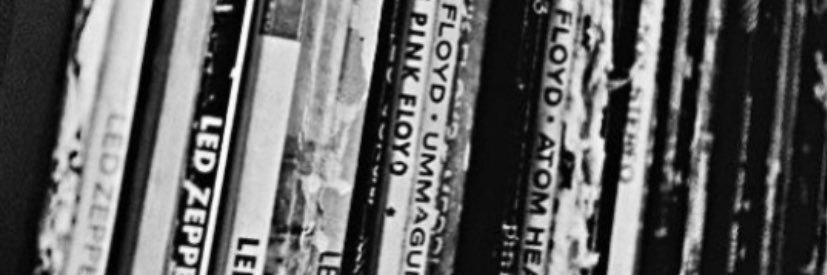 maci_engle's profile banner image
