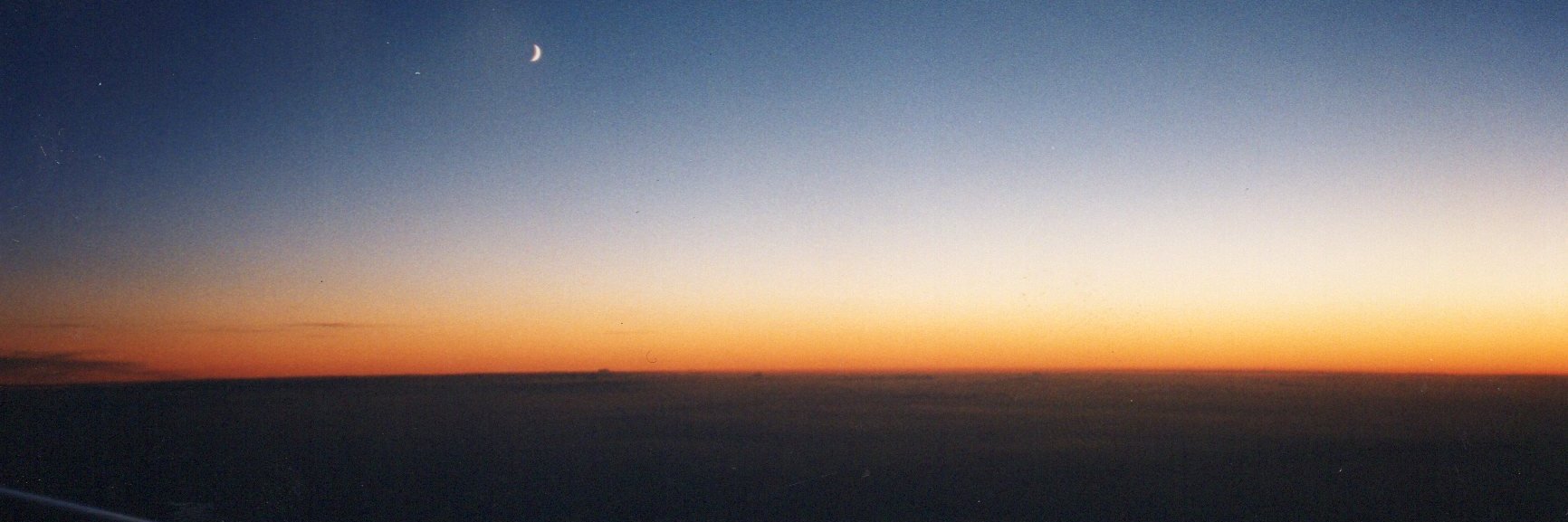 Alison Rodger banner