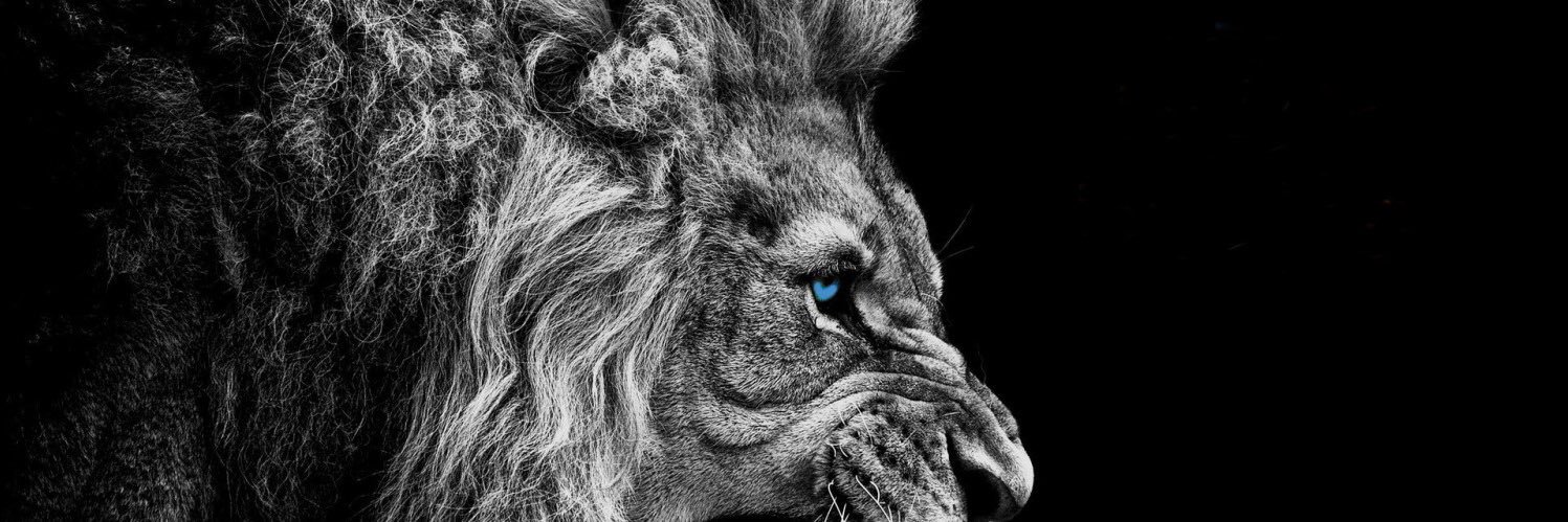 austintrahan8's profile banner image