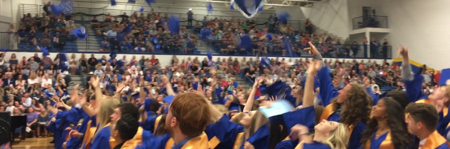 LibCounselors's profile banner image
