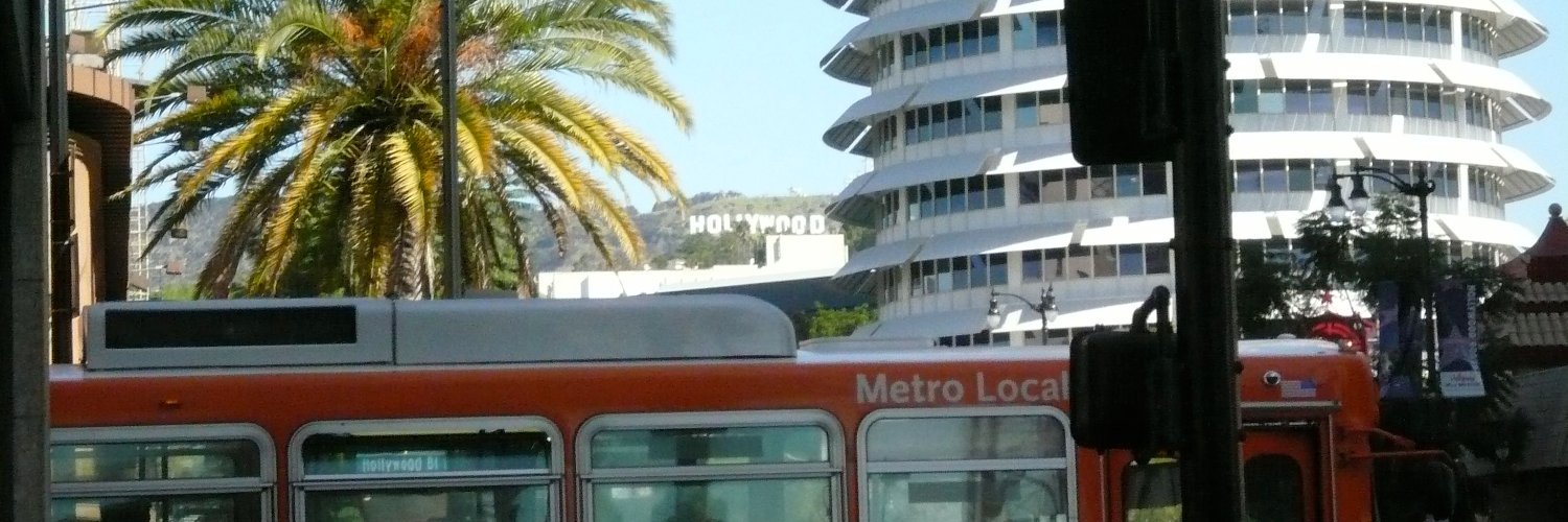 lizriz's profile banner image