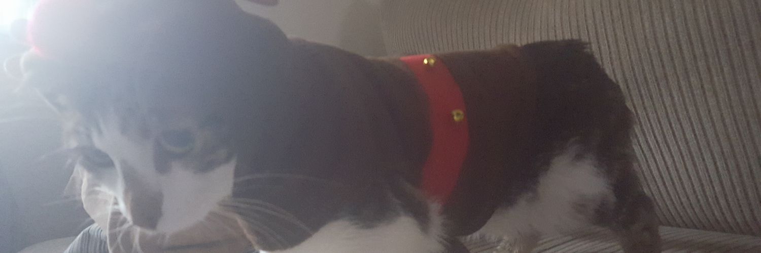 DoubleBBowski's profile banner image